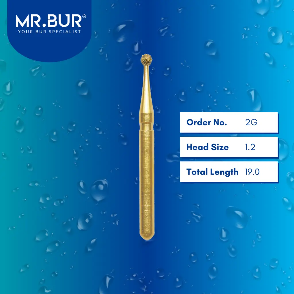 Round-FG-Gold-Standard-Bur-2G.webp