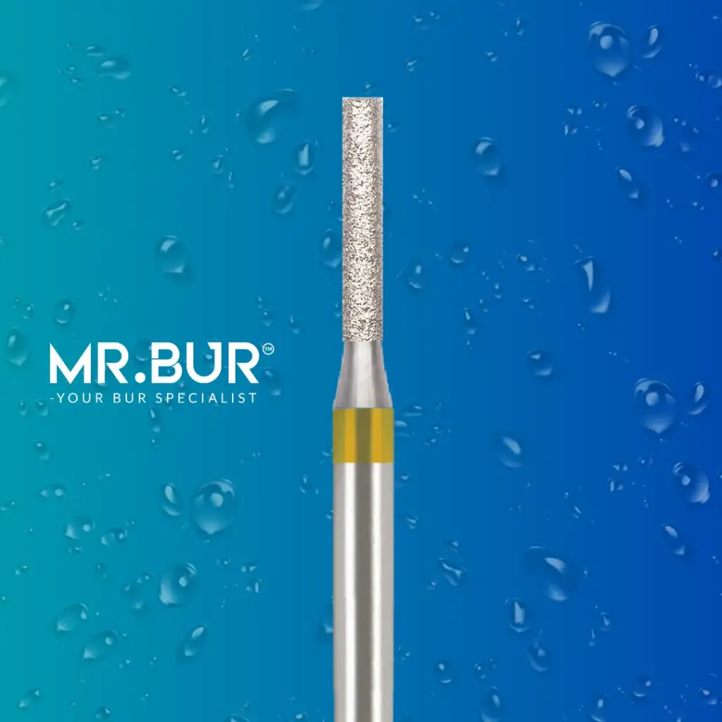 FG DIAMOND CYLINDER FLAT END 837EF FG.010 