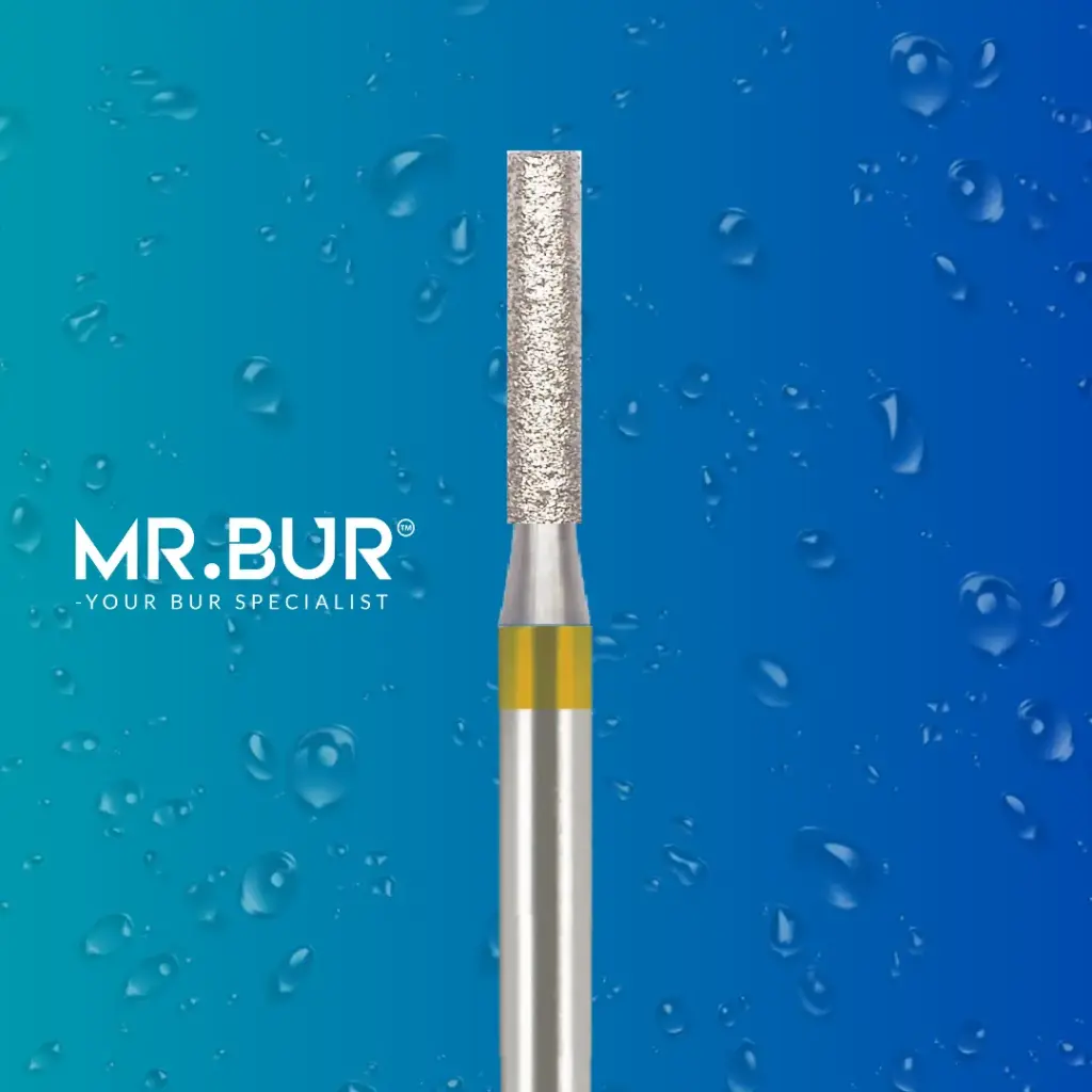 FG DIAMOND CYLINDER FLAT END 837EF FG.012 