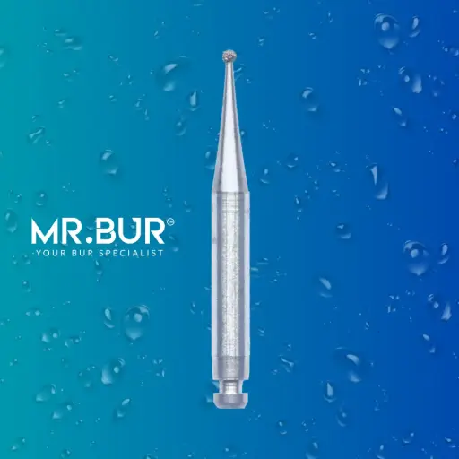 [R801/009] RA DIAMONDS BUR ROUND