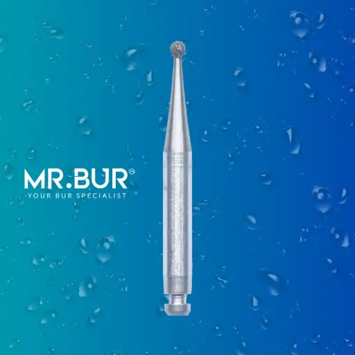 [R801/012] RA DIAMONDS BUR ROUND