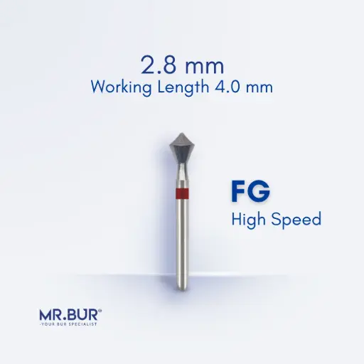 [R1] FG DIAMOND ACORN FINE