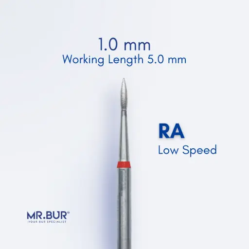 [RAF368/10] RA DIAMOND ROOT PLANING / SUBGINGIVAL SCALING