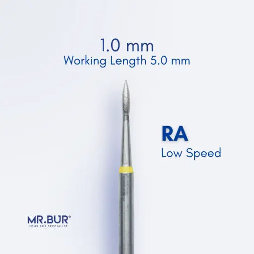 [RASF368/10] RA DIAMOND ROOT PLANING / SUBGINGIVAL SCALING