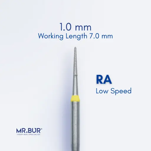 [RASF856/10] RA DIAMOND ROOT PLANING / SUBGINGIVAL SCALING