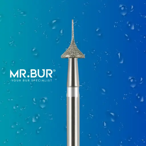 [X03W] FG DIAMOND ONE SLICE IPR 